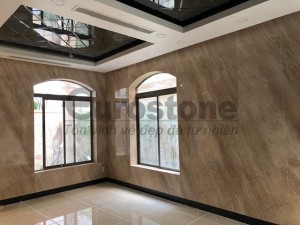 Nhà phố Khu phức hợp Golden Mansion